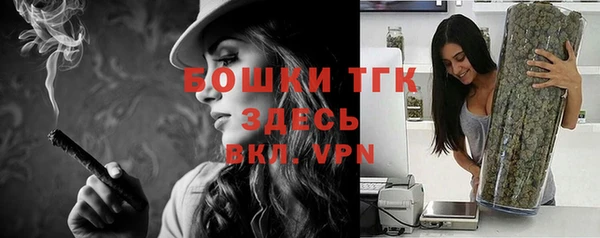 амф Богданович