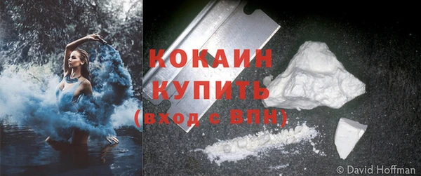 амф Богданович
