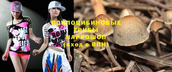 амф Богданович