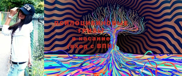 мдма Богородск